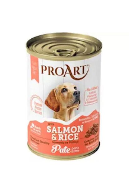 Proart Somonlu Pirincli Ezme Yetiskin Kopek Mamasi 400grx 12 Adet Trendyol