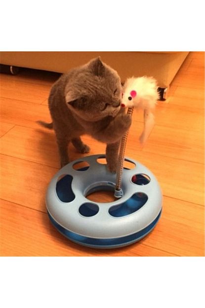 Rennway Cingirakli Peluslu Cilgin Daire Kedi Oyuncagi Trendyol