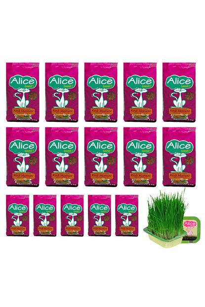 Alice Smart Yetiskin Kedi Mamasi 15 Li 1 Kg Cim Hediyeli Trendyol