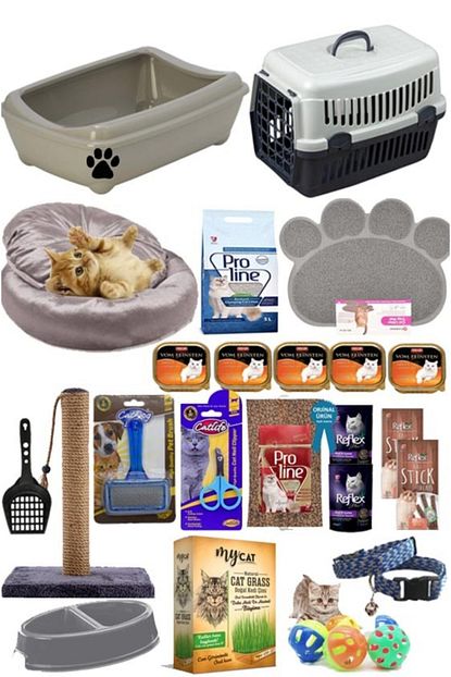 Pet Style Kedi Baslangic 25 Li Paket Trendyol