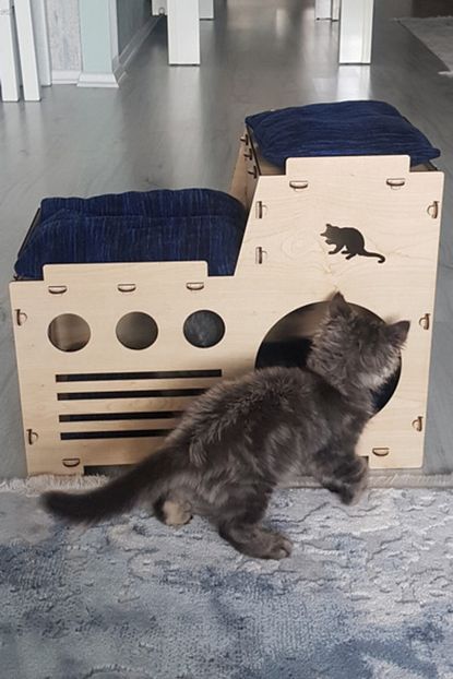 Taktakicat Konforlu Katli Kedi Evi Kedi Yuvasi Trendyol