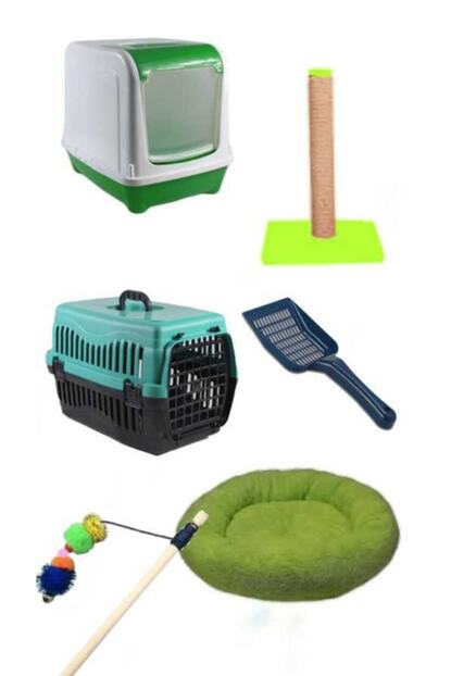 Pet Style Kedi Baslangic 15 Li Paket Trendyol