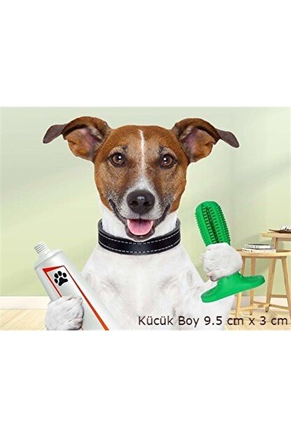 digerui kopek dis temizleme oyuncagi kemigi fiyati yorumlari trendyol