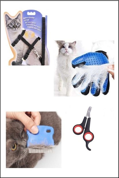 Kedi Tyrnak Makasy Seti