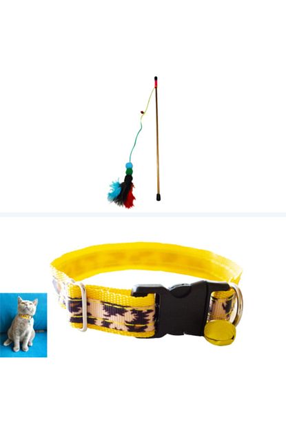 Petbag Leopar Desenli Cingirakli Kedi Boyun Tasmasi Plastik Sapli Zilli Renkli Tuylu Kedi Oltasi Trendyol