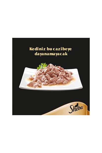 Sheba Somonlu 85 G Trendyol