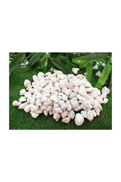 Ekodoga Pomza 5 Kg 8 14 Mm Beyaz Pomza Tarim Pomzasi Pomza Tasi Ponza Trendyol