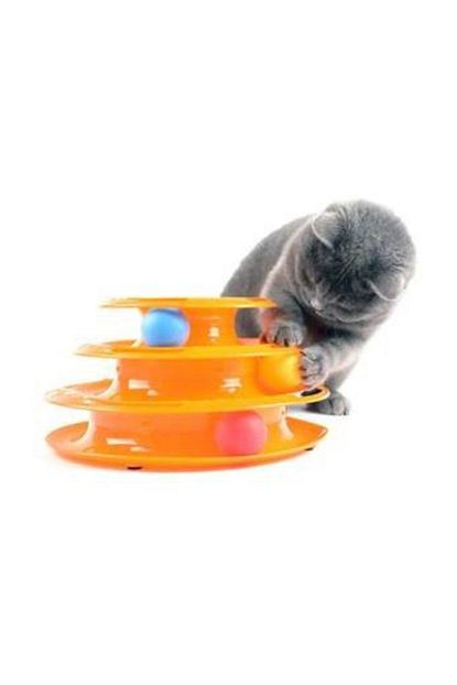 Kedi Tathyma Cantasy Trendyol