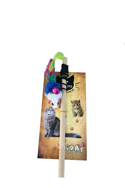 Hiday Kedi Oltasi Fareli Zilli Trendyol