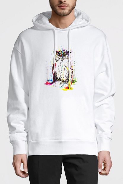 Collage Baykus Rengarenk Kus Hayvan Baskili Beyaz Erkek Orme Kapsonlu Sweatshirt Uzun Kol Trendyol