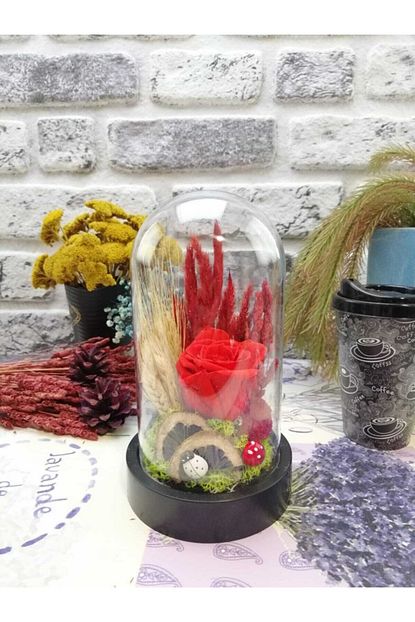 Teraryumstore Kirmizi Solmayan Soklu Kuru Cicekli Gul Teraryum 10x18 Trendyol