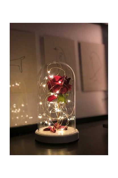 By Lamp Kirmizi Gul Isikli Cam Fanus Lamba Trendyol
