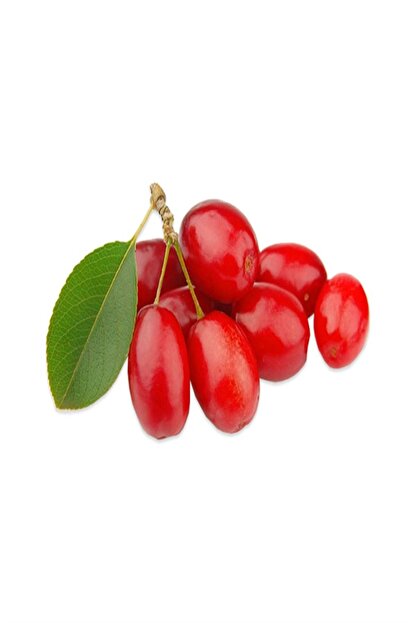 Hastat Kizilcik Meyvesi 1 Kg Trendyol
