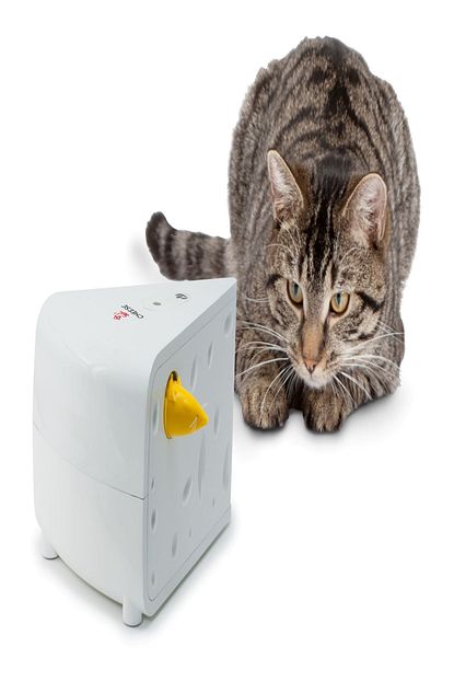 Drinkwell Froli Cat Cheese Interaktif Kedi Oyuncagi Trendyol