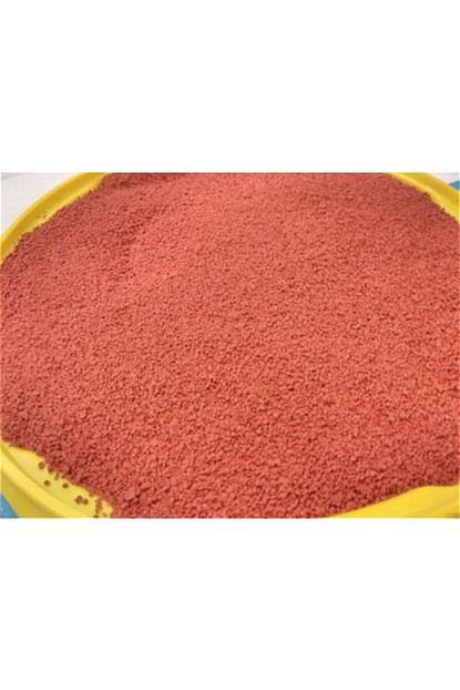 Tropikal Ciklet Balik Renk Yemi 500 Gr Trendyol