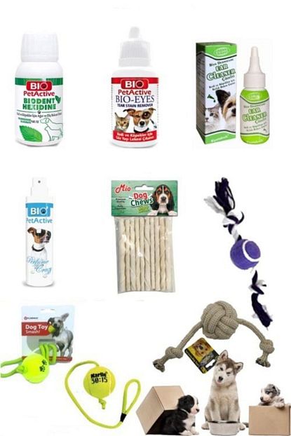 Bio Petactive Kopek Bakim Saglik Ve Oyun Paketi Trendyol