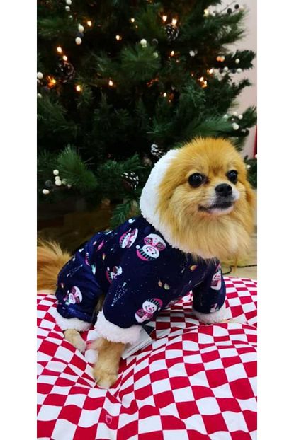 Pomizmirstore Kardanadam Kadife Kedi Kopek Tulum Kopek Kiyafet Trendyol
