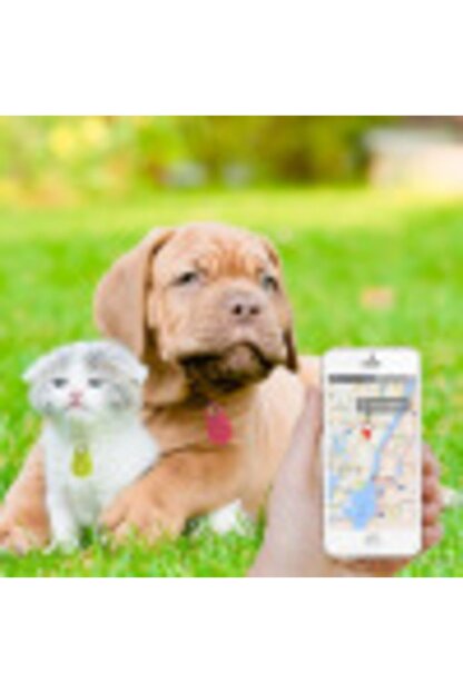 Digerui Kedi Kopek Bluetoothlu Gps Kayip Cihazi Trendyol