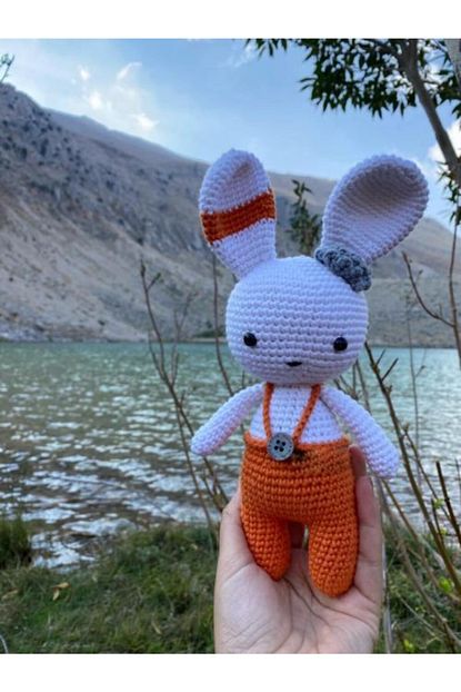 aysekizdesign amigurumi dugmeli tavsan