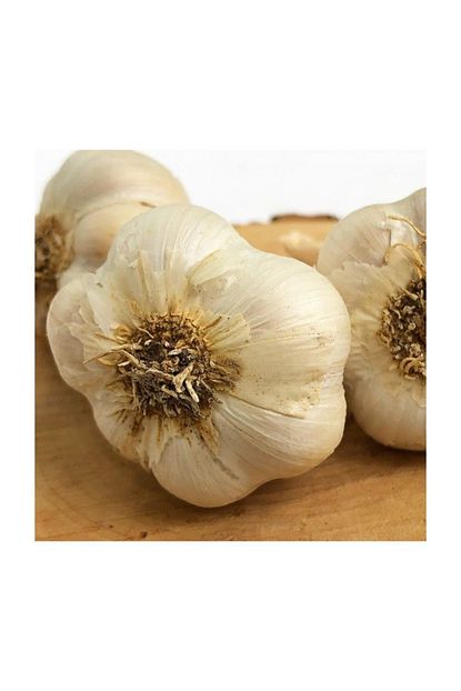 Gourmeturk Kuru Yerli Sarimsak 500 Gr Trendyol