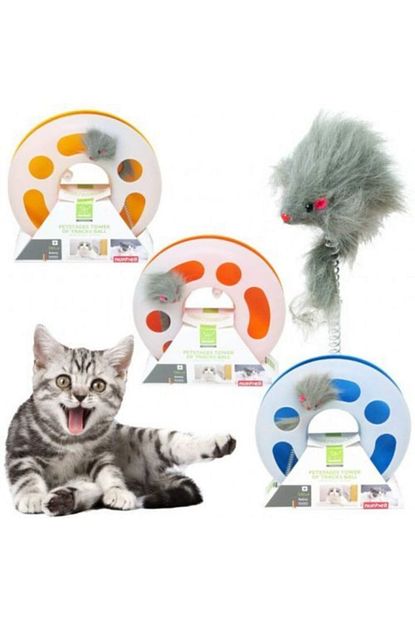 Nunbell Silindir Kedi Oyuncak Trendyol