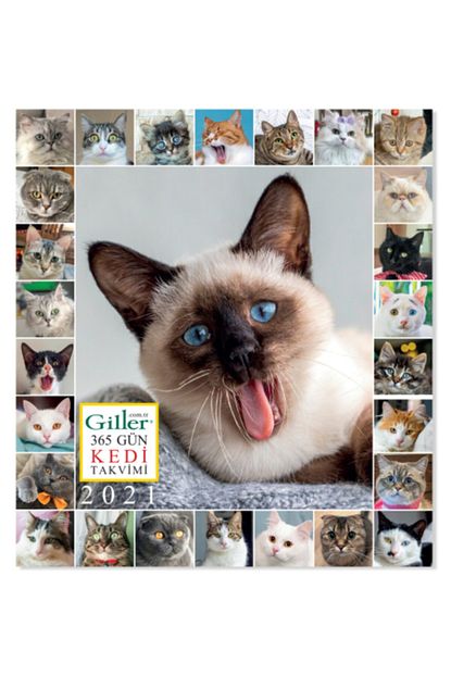 Giller Kedi Duvar Takvimi 2021 Trendyol