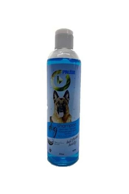 Pause Kopek Sampuani 250 Ml Dermacare Scented Trendyol