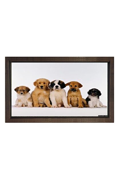 deniz cerceve tuval yavru kopekler tablosu cercevesiz 45x30 cm fiyati yorumlari trendyol