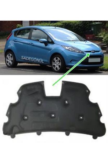 ford fiesta kaput