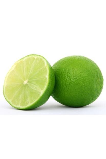 ebruli misket limonu lime tam bodur ozel asi uzeri meyveli fiyati yorumlari trendyol