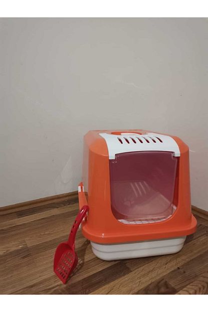 euro premium kedi orta boy kapali