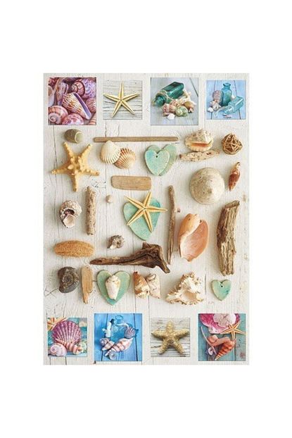 Educa Puzzle 1000 Parca Deniz Kabuklari 17658 Trendyol