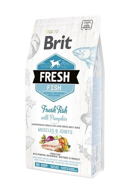 Brit Care Brit Fresh Balikli Balkabakli Buyuk Irk Kopek Mamasi 12 Kg Trendyol