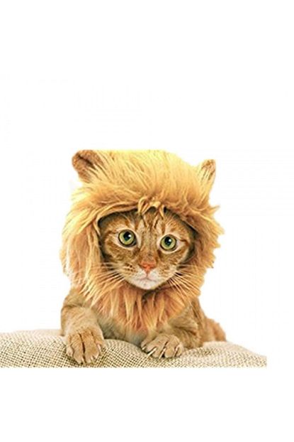 Tukotech Kedi Aslan Yelesi Peruk Trendyol