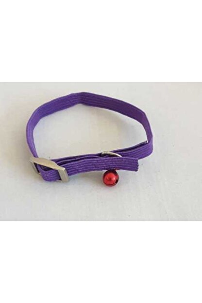 Ans Lastikli Zilli Kedi Ve Kopek Tasmasi Mor Trendyol
