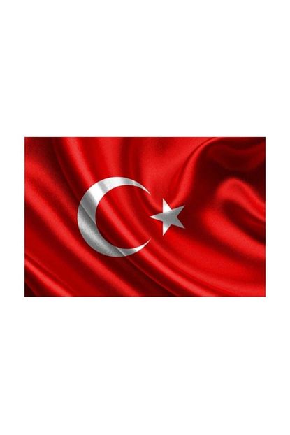Vatan Bayrak 30 45 Cm Trendyol