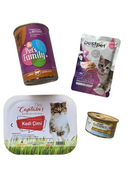 Pets Family Yavru Kedi Baslangic 4 Lu Set Trendyol