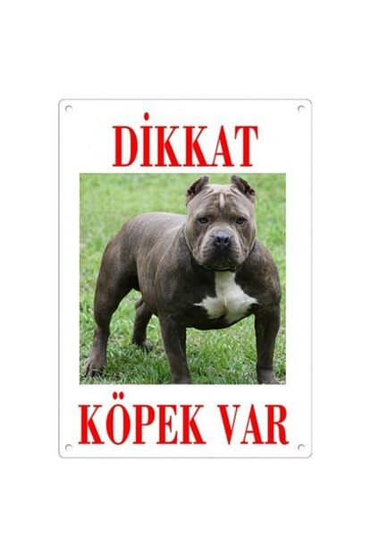 dikkat kopek var uyari levhasi renkli pitbull