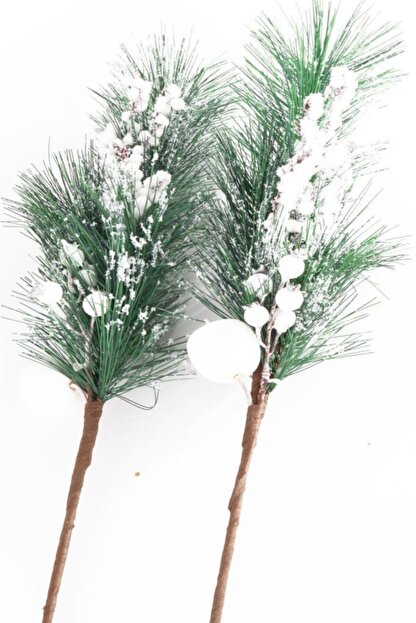 Beysus Yilbasi Cicegi Kokina 2 Li Beyaz Trendyol