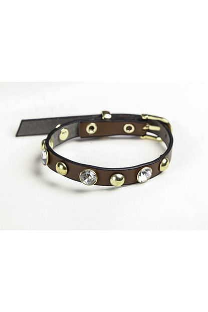 Elite Kahverengi Rivet Tasli Rivetli Soft 1 Cm Gold Metal Tokali Kedi Tasmasi Trendyol