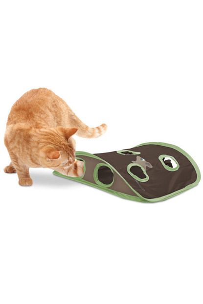 Halo Butunsel Kuru Kedi Mamasi Vahsi Somon Ve Whitefish Buy Kedi Kumu Toptan Toplu Kedi Kumu Toptan Halo Butunsel Kuru Kedi Foodwild Somon Ve Whitefish Product On Alibaba Com