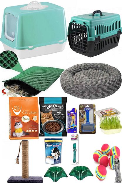 Pet Style Kedi Baslangic 15 Li Paket Trendyol