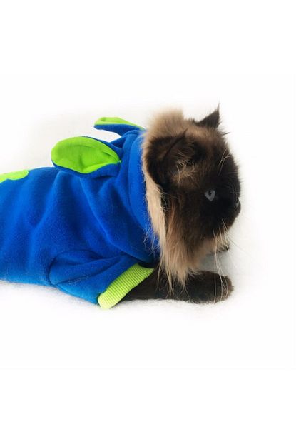 Kemique Navy Green Bunny Kedi Tulumu Kedi Kiyafeti Medium 2 2 5 Kg Trendyol
