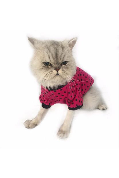 Kemique Black Pink Dots Oval Yaka Tisort Kedi Kiyafeti Kedi Elbisesi 2xlarge 5 5 7 Kg Trendyol