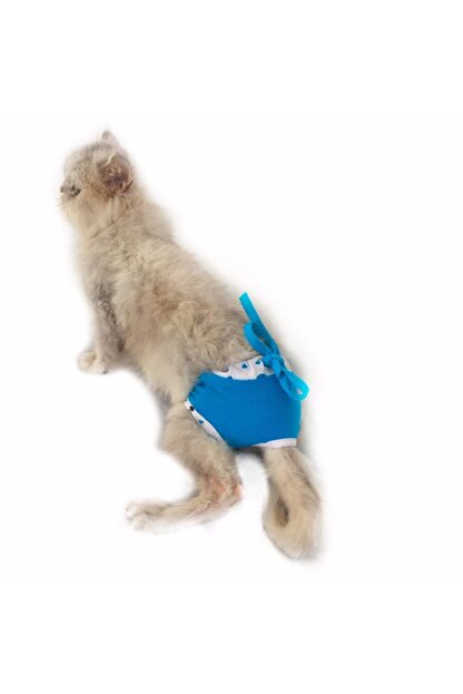 Kemique Ugur Bocegi Mavi Secret Kedi Ic Camasiri Regl Kulot Don L Kucuk Irk 4 5 6 Kg Trendyol