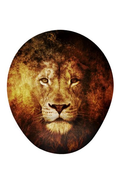 Oem Galatasaray Aslan Baskili Bilek Destekli Mouse Pad Fiyati Yorumlari Trendyol