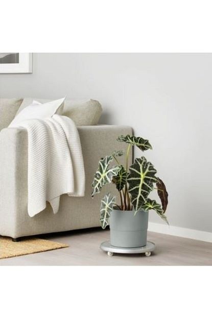deneme zamani ikea nypon saksi gri fiyati yorumlari trendyol