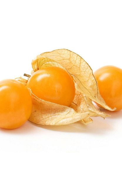 aker yoresel altin cilek physalis peruviana paket 100 gr fiyati yorumlari trendyol