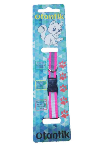 Pawise Otantik Pet Kedi Tasmasi Trendyol