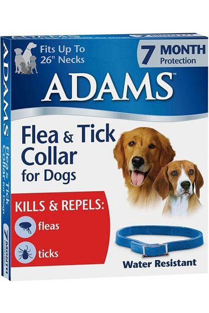 Adams Sepetshop Kopek Pire Ve Kene Tasmasi 7 Ay Etkili Suya Dayanikli Trendyol